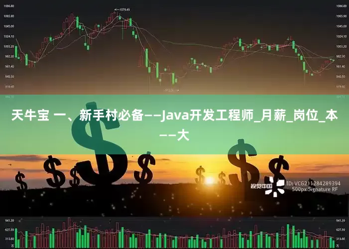 天牛宝 一、新手村必备——Java开发工程师_月薪_岗位_本——大