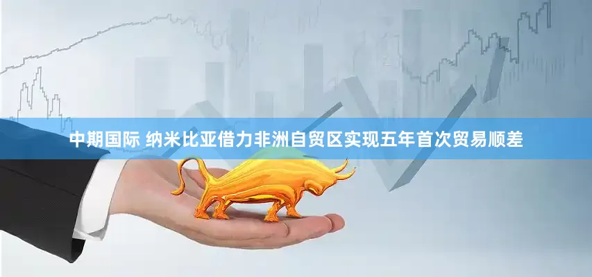中期国际 纳米比亚借力非洲自贸区实现五年首次贸易顺差