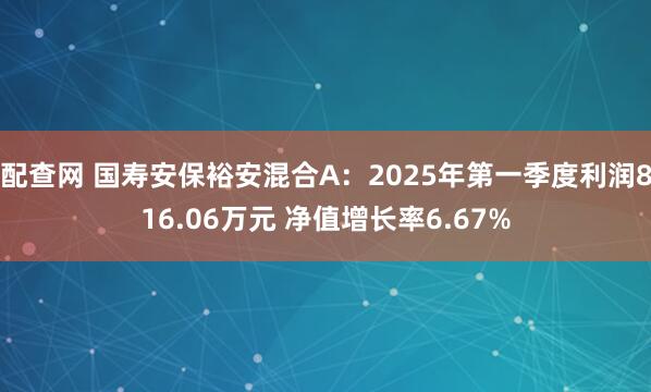 配查网 国寿安保裕安混合A：2025年第一季度利润816.06万元 净值增长率6.67%