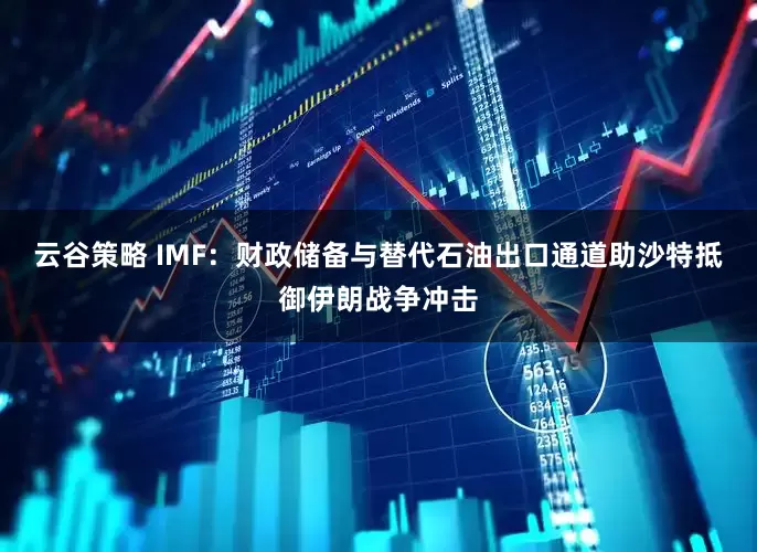 云谷策略 IMF：财政储备与替代石油出口通道助沙特抵御伊朗战争冲击
